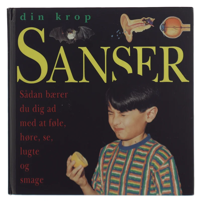Sanser - Din krop af Anna Sandeman (Bog) fra Forlaget Flachs
