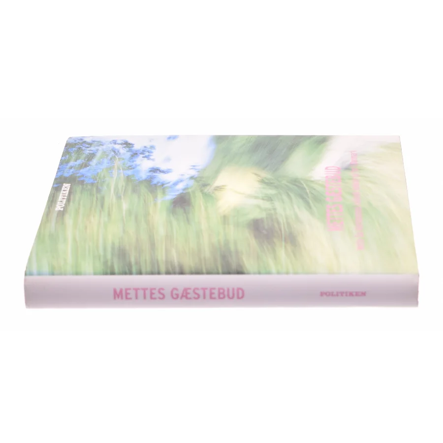 Mettes gæstebud (Bog)