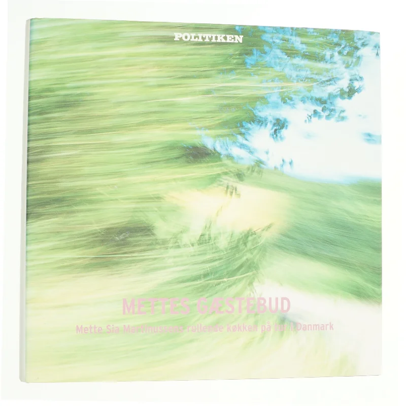 Mettes gæstebud (Bog)