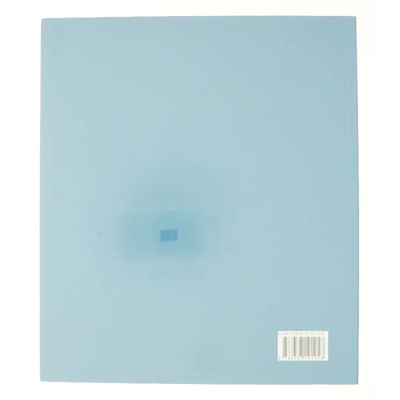 Arne Haugen Sørensen (Bog)