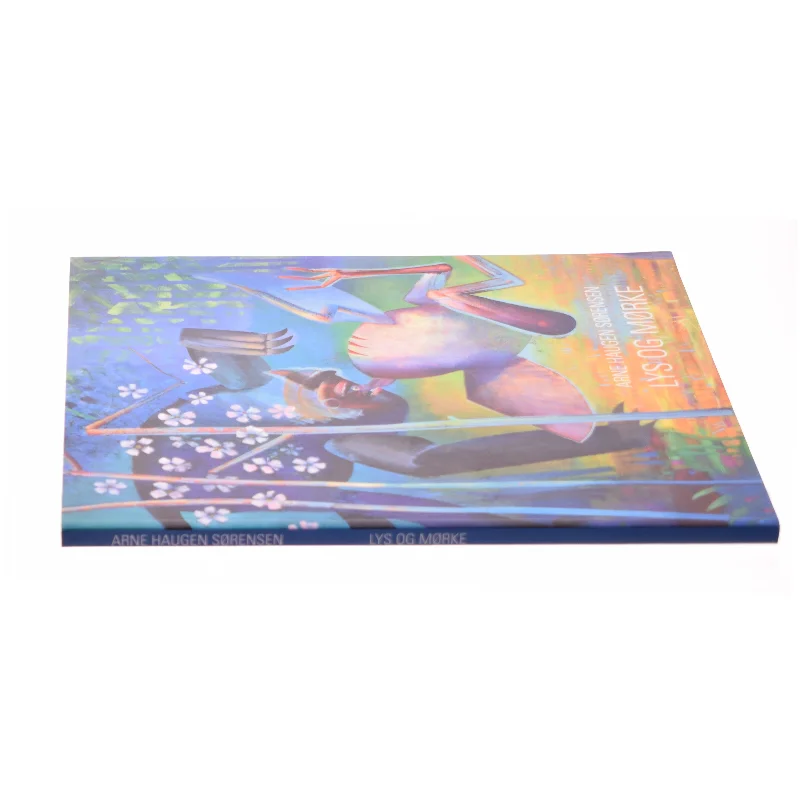 Arne Haugen Sørensen (Bog)