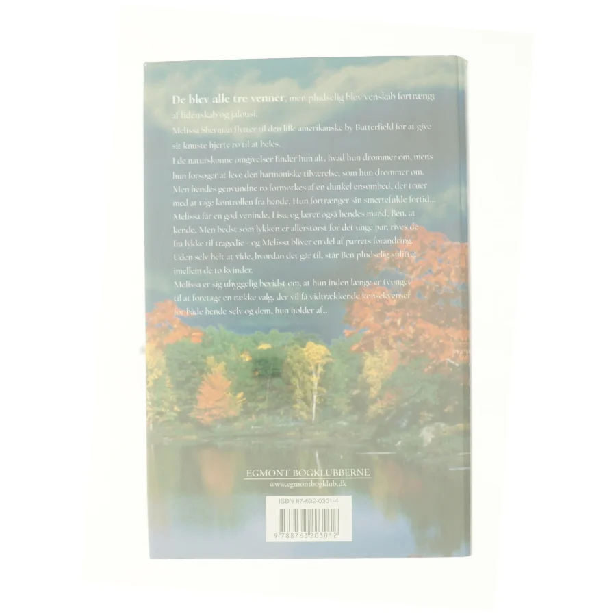 Rør himlen af Susan Madison (Bog)