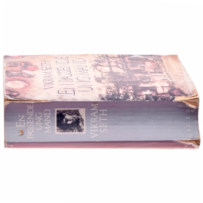 En passende ung mand af Vikram Seth (Bog)