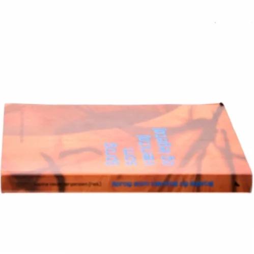 Sprog som værktøj og legetøj : om sprog, kultur og kommunikation af Hanne Hede Jørgensen (Bog)