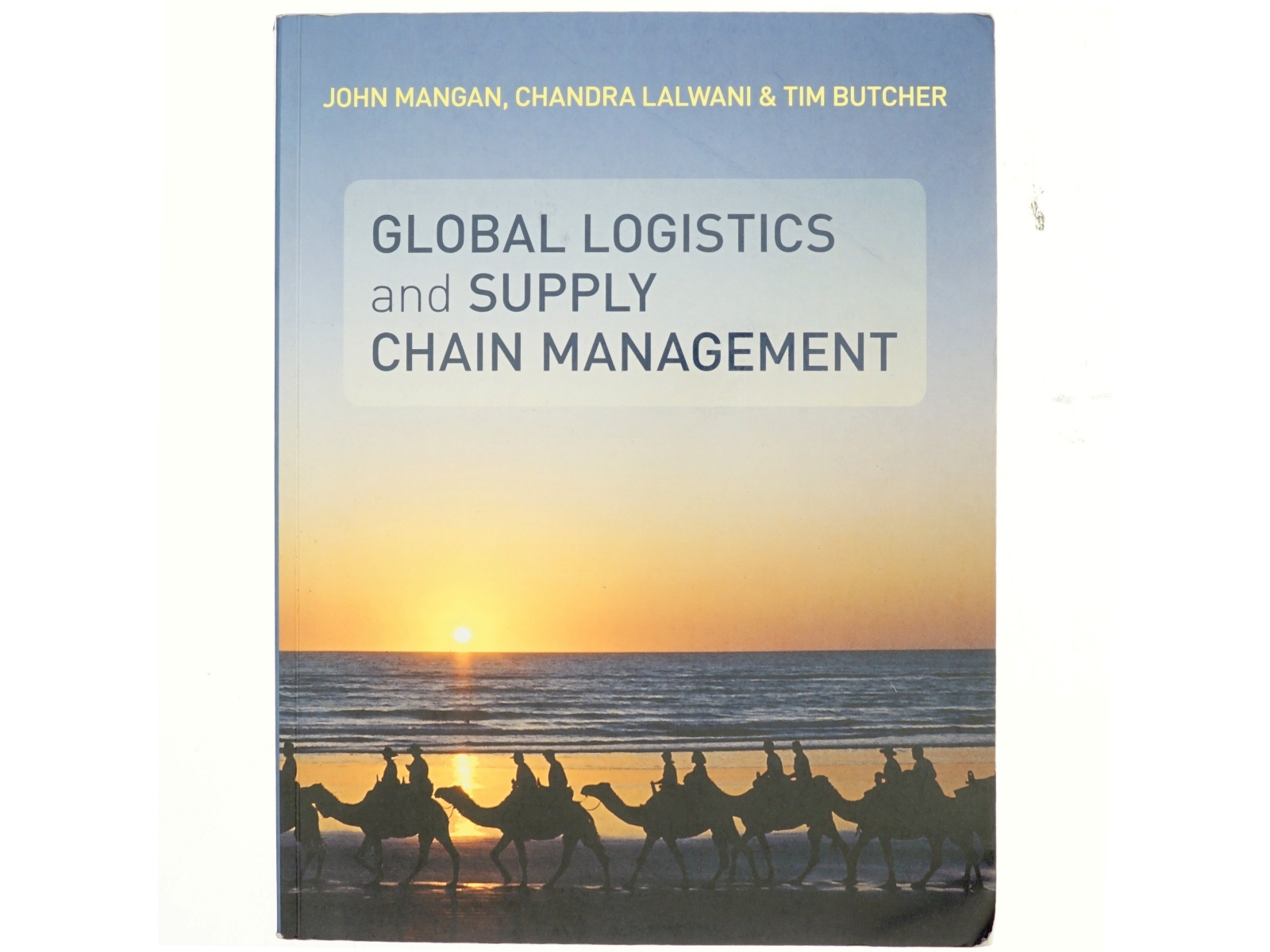 Global logistics and supply chain management (Bog)