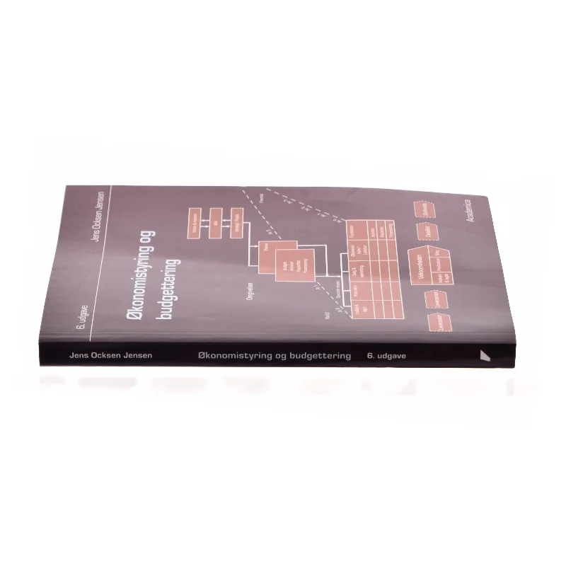 Økonomistyring og budgettering af Jens Ocksen Jensen (Bog)