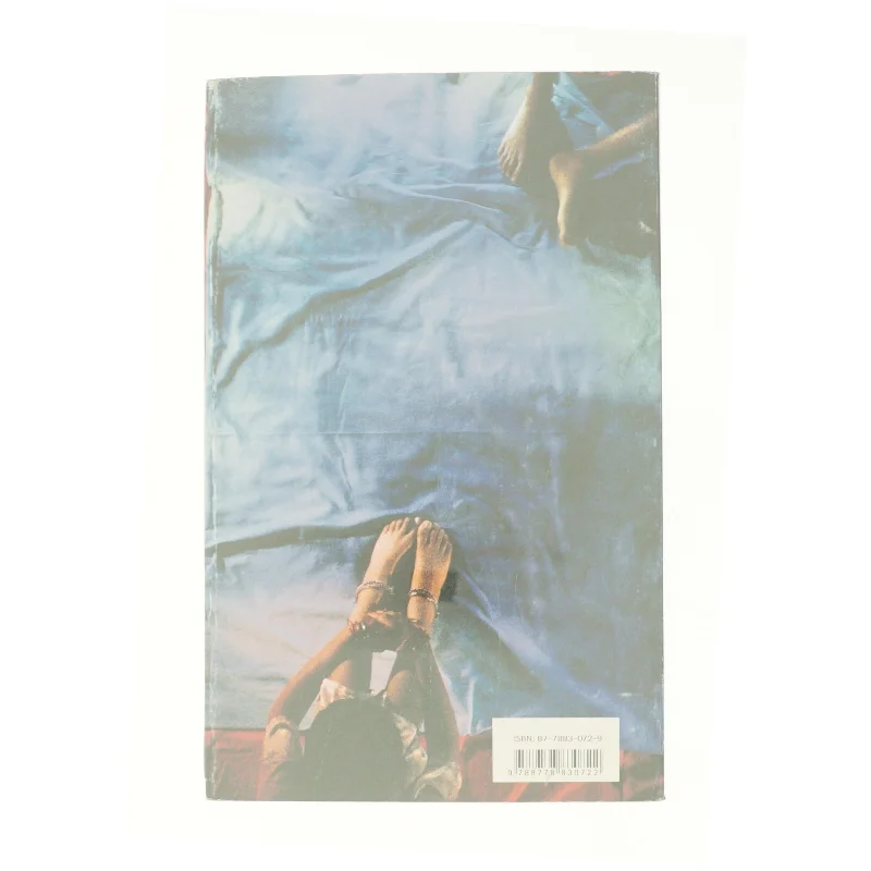 Det blå sengetæppe af Raj Kamal Jha (Bog)