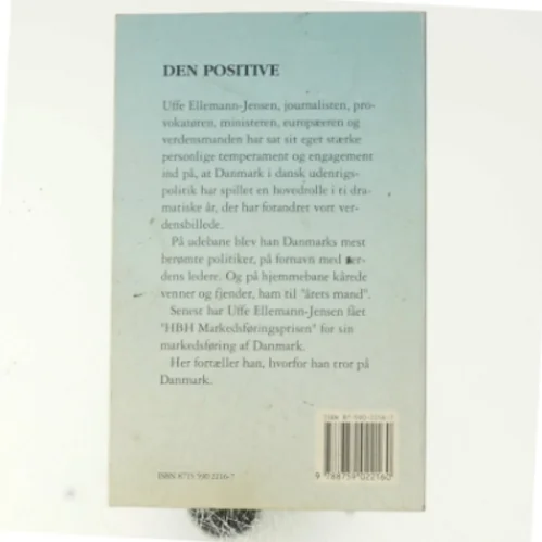 Den positive (Bog)