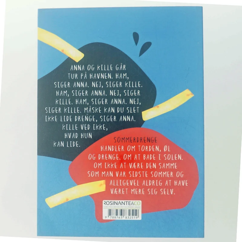 NY Sommerdrenge af Rebecca Bach-Lauritsen (Bog)