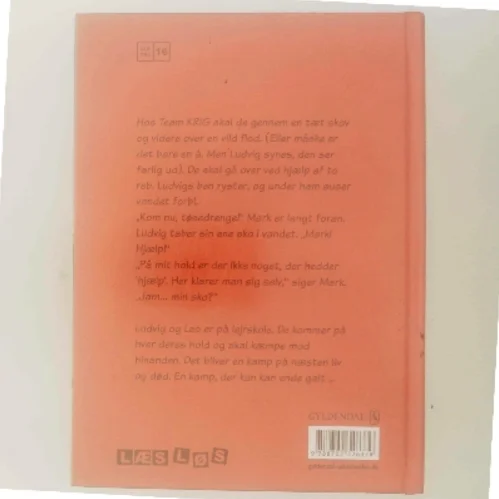 NY Ludvig og Leo Brænder skolen ned igen af Palle Schmidt (Bog)