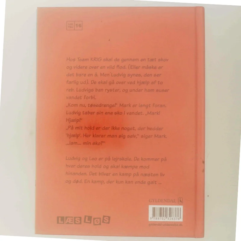 NY Ludvig og Leo Brænder skolen ned igen af Palle Schmidt (Bog)