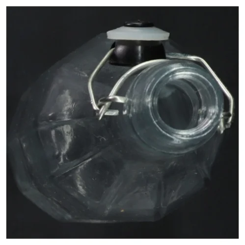 Genbrugsglasflaske med patentlukning (str. H 32 cm)