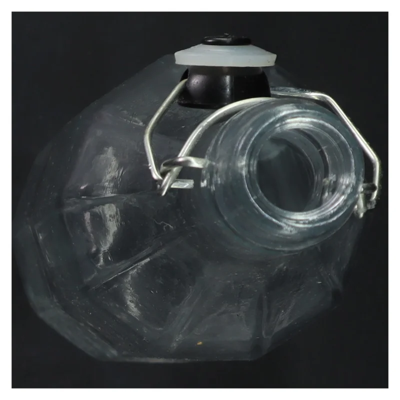 Genbrugsglasflaske med patentlukning (str. H 32 cm)