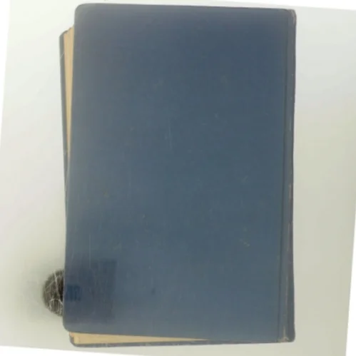 Børnen i Ny-skoven af F. Marryat (Bog)