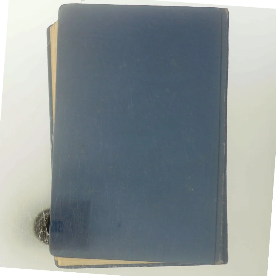 Børnen i Ny-skoven af F. Marryat (Bog)