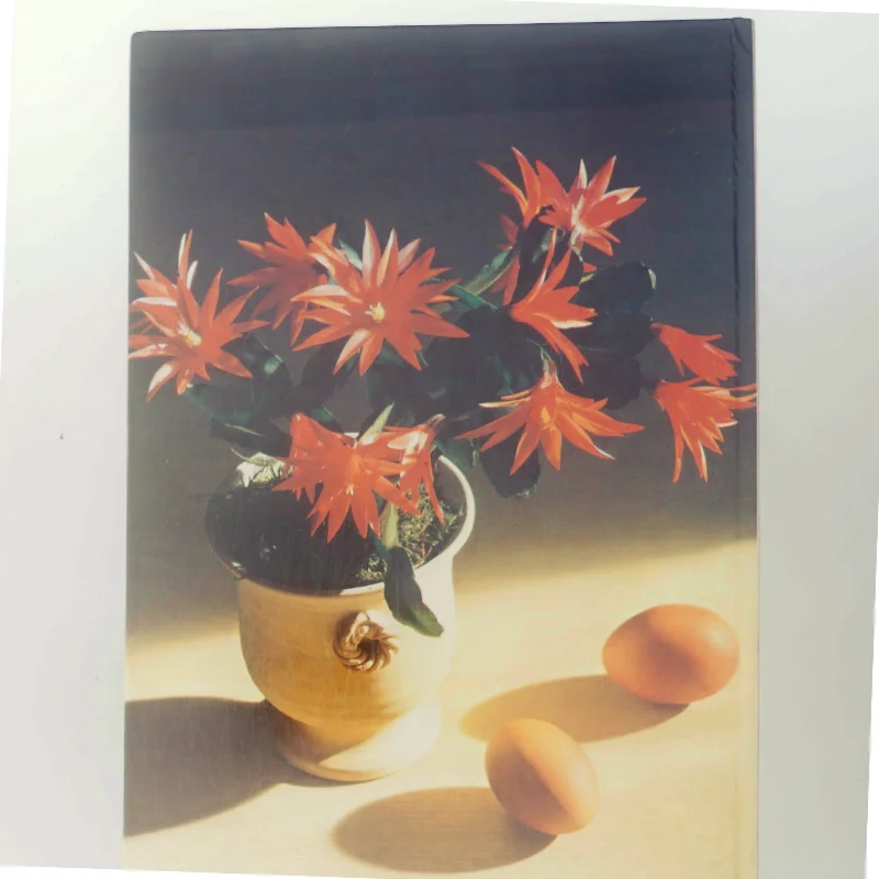 Forår i huset (Bog)