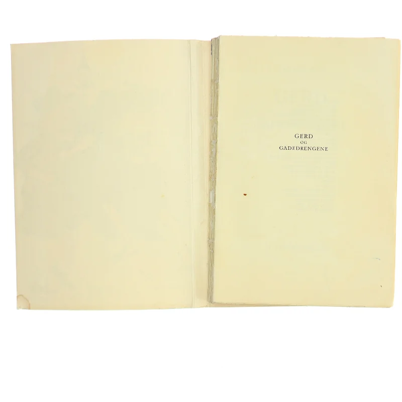 Gerd og gadegdrengene bog