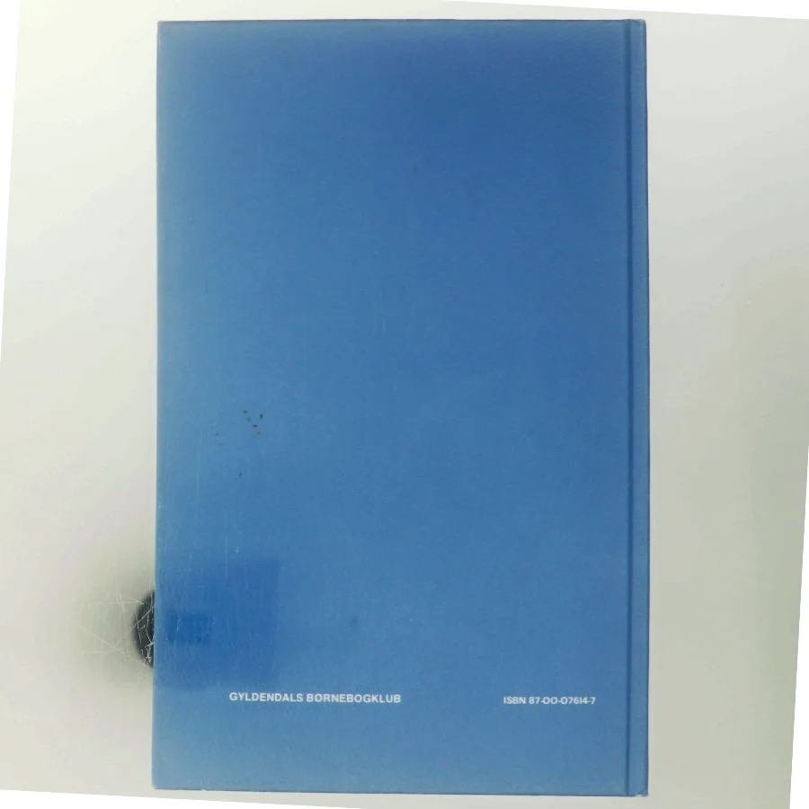 Esbens flugt af Knud Erik Pedersen (Bog)