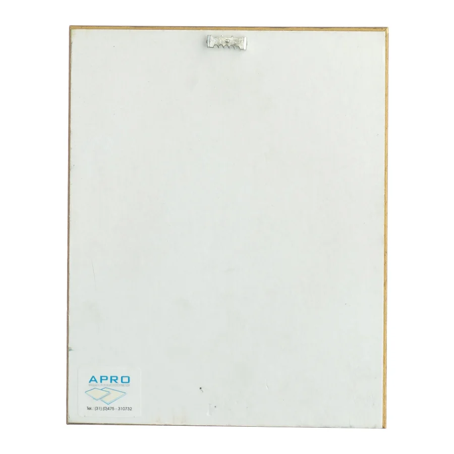 Indrammet 3D billedkunst (str. 25 x 19,5 cm)