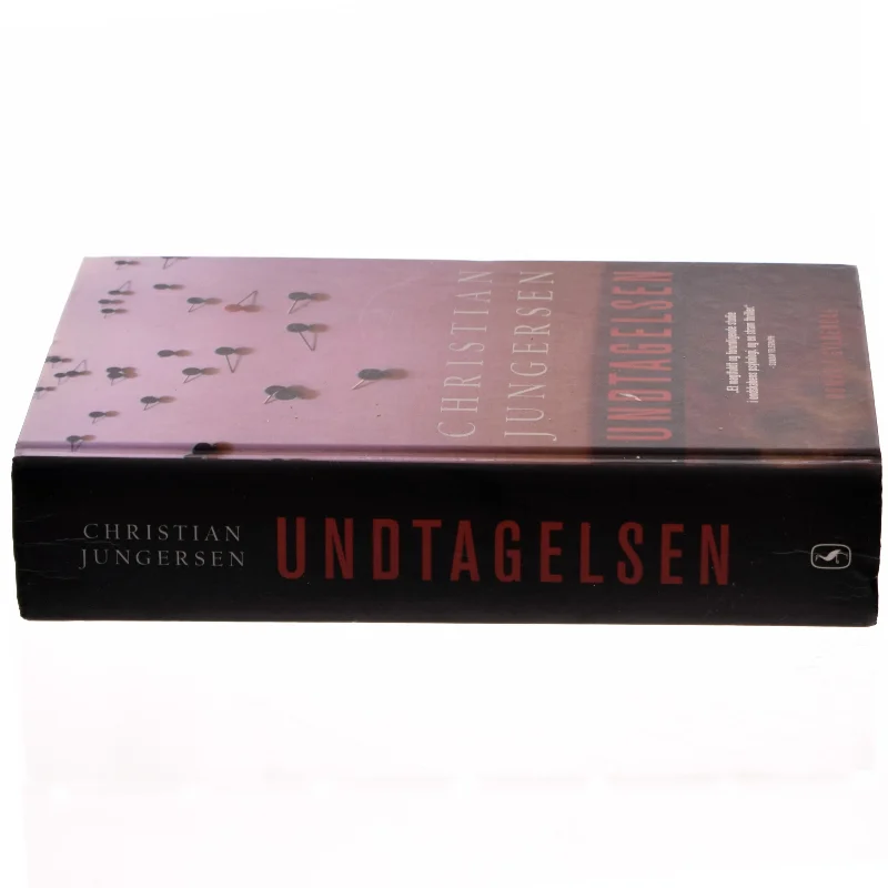 Undtagelsen af Christian Jungersen (Bog)
