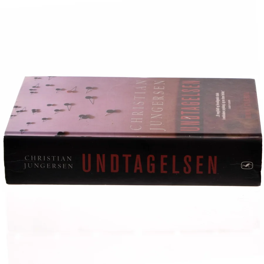 Undtagelsen af Christian Jungersen (Bog)