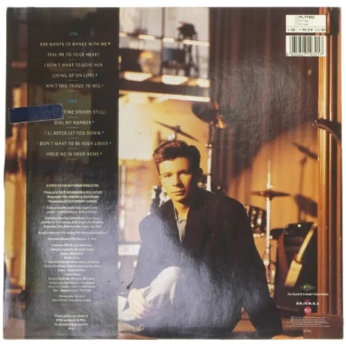 Rick Astley - Hold Me in Your Arms LP
