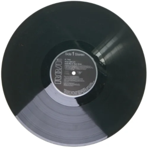 Rick Astley - Hold Me in Your Arms LP