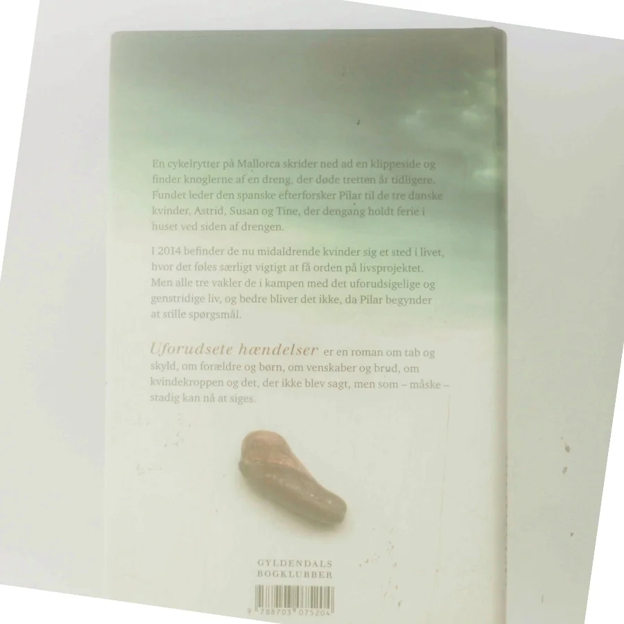 Uforudsete hændelser : roman af Hanne Richardt Beck (Bog)