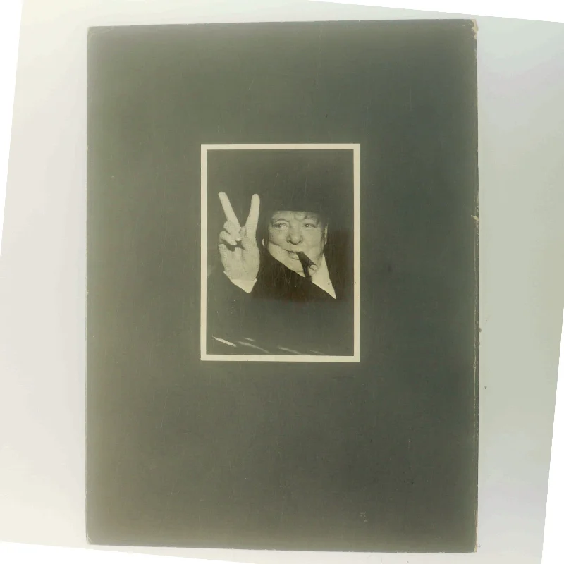 Winston S. Churchill af Winston S. Churchill (Bog)