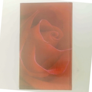 Den grønne port af Jane Aamund (Bog)