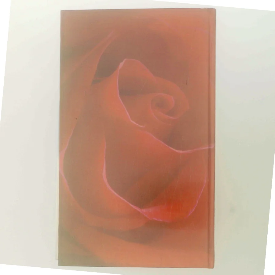 Den grønne port af Jane Aamund (Bog)