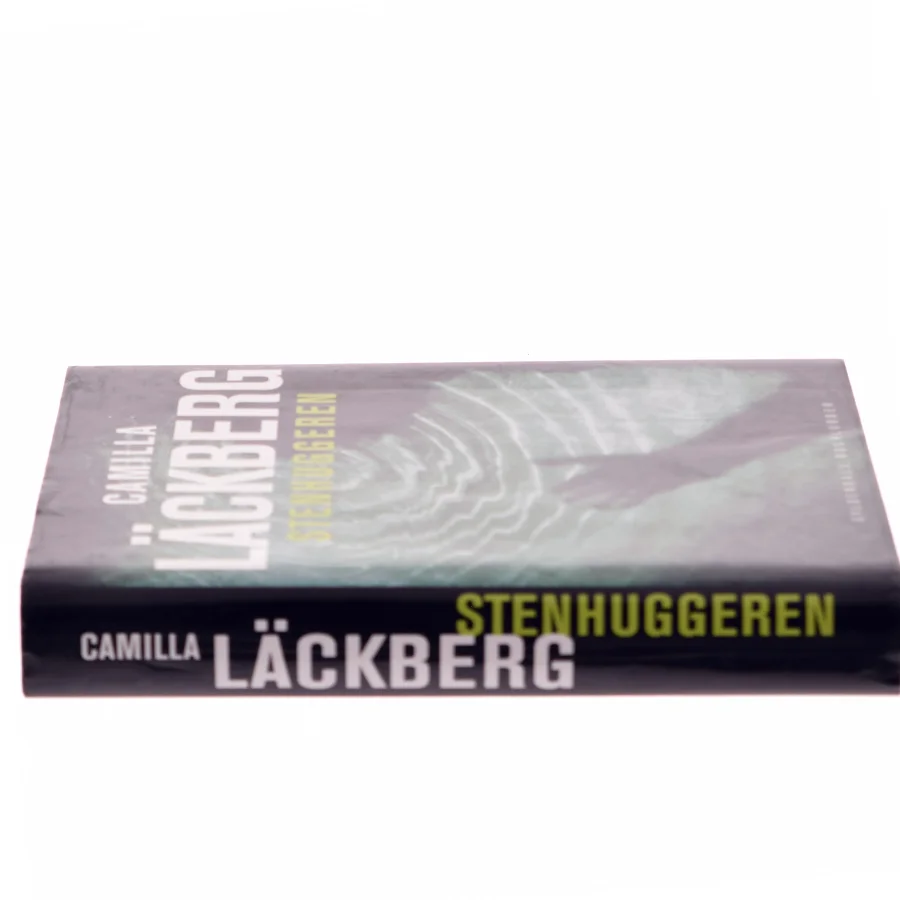 Stenhuggeren af Camilla Läckberg (Bog)