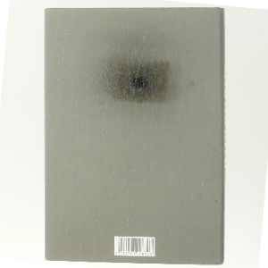 Stenhuggeren af Camilla Läckberg (Bog)