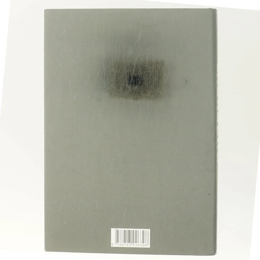 Stenhuggeren af Camilla Läckberg (Bog)