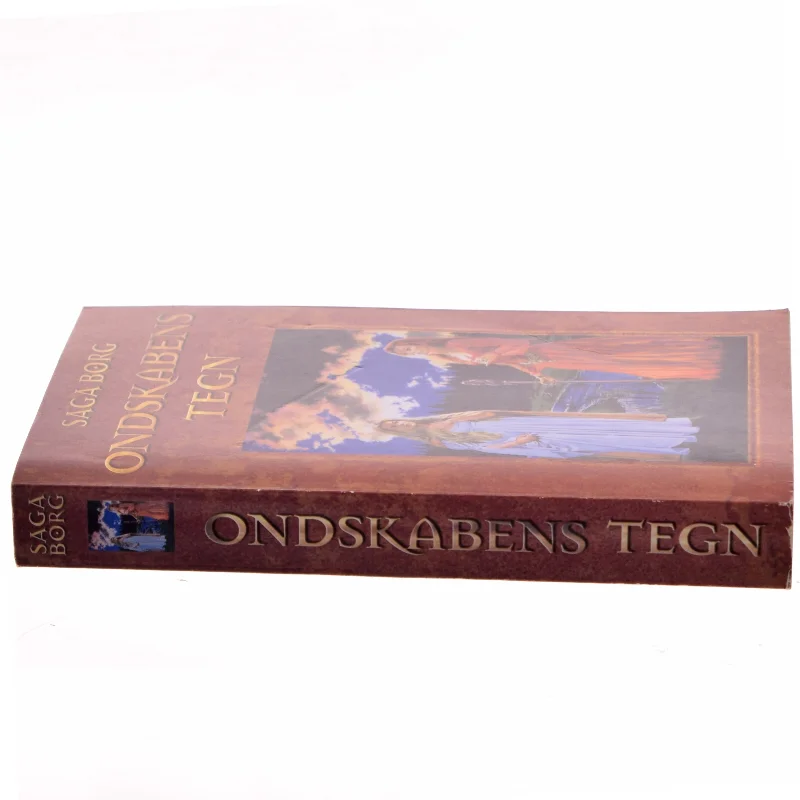 Ondskabens tegn af Saga Borg (Bog)