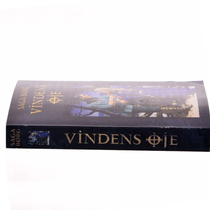 Vindens øje af Saga Borg (Bog)
