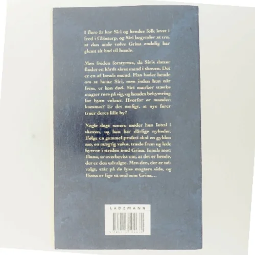 Vindens øje af Saga Borg (Bog)