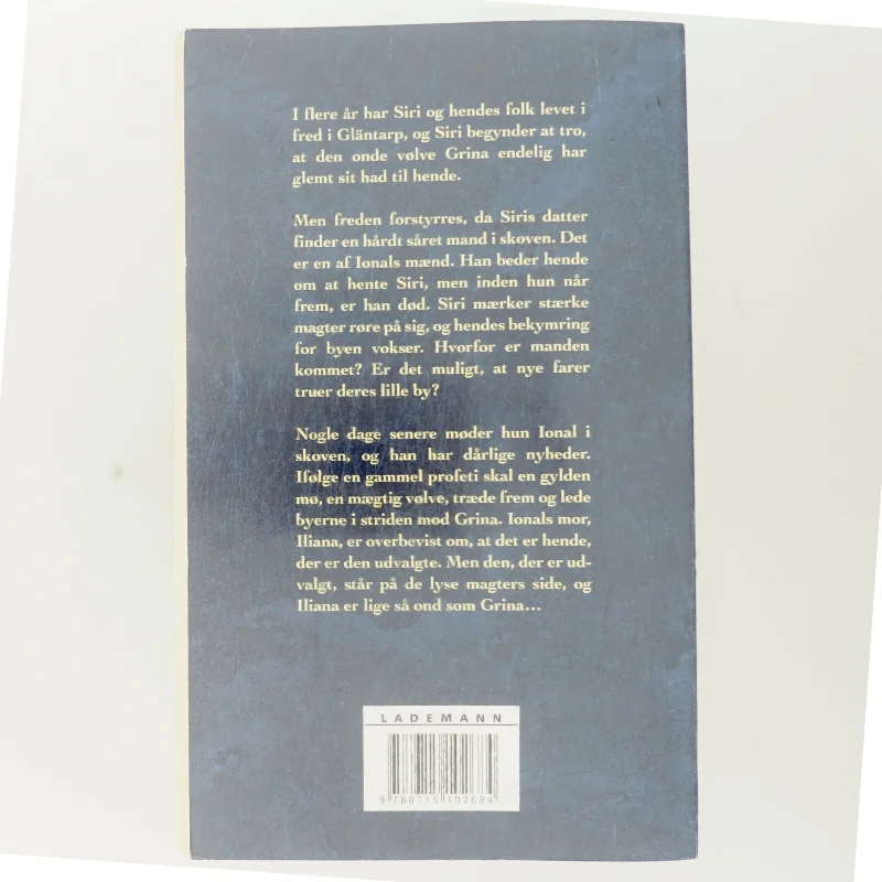 Vindens øje af Saga Borg (Bog)