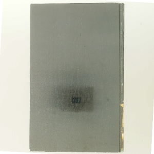 En lykkelig kvinde af Hanne-Vibeke Holst (Bog)