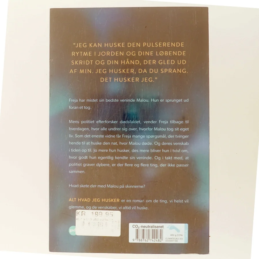 Alt hvad jeg husker af Michala Elk (f. 1991) (Bog)