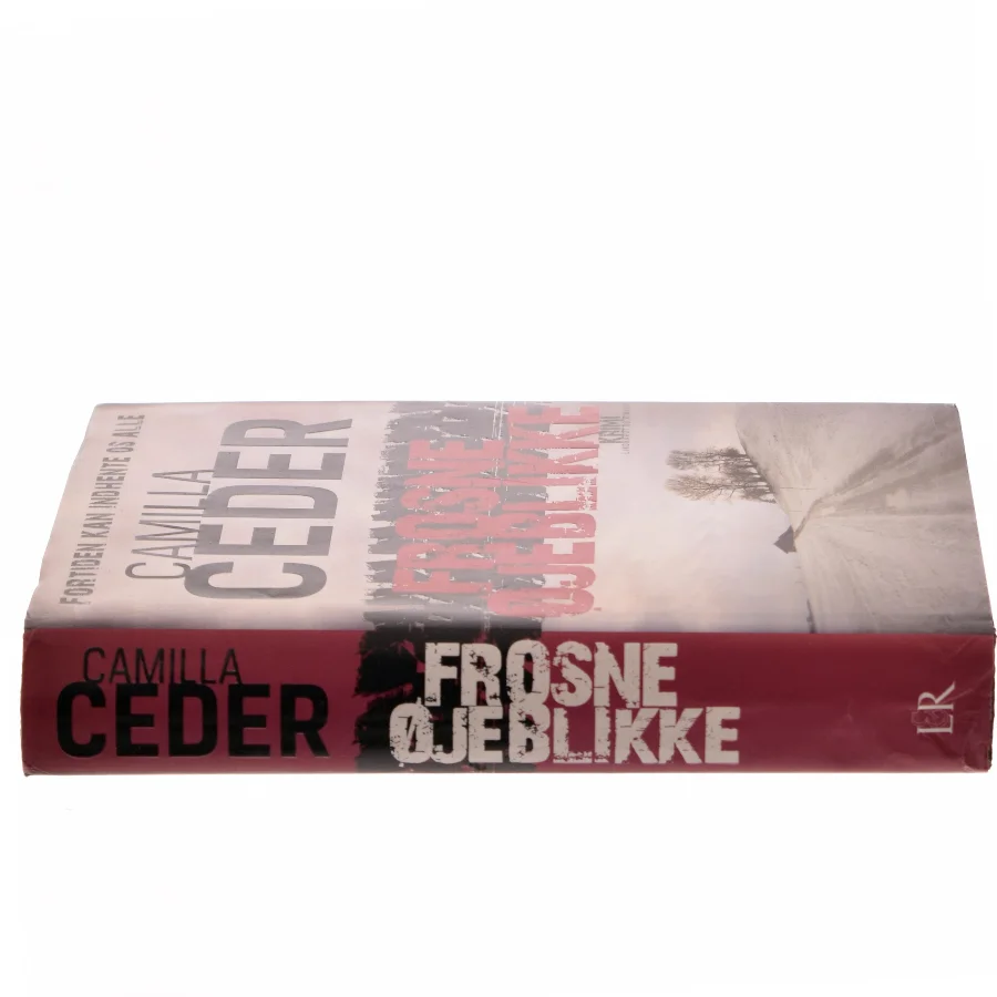 Frosne øjeblikke af Camilla Ceder (Bog)