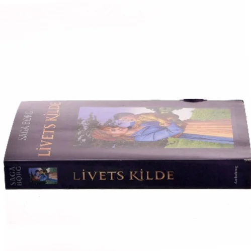 Livets kilde af Saga Borg (Bog)