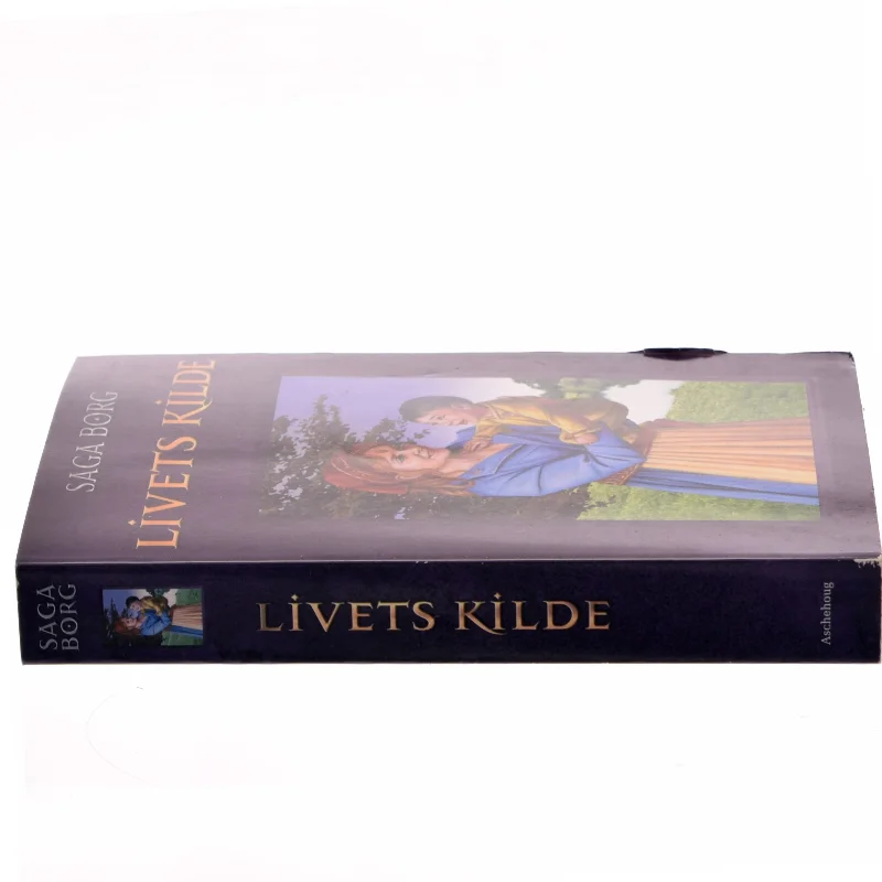 Livets kilde af Saga Borg (Bog)
