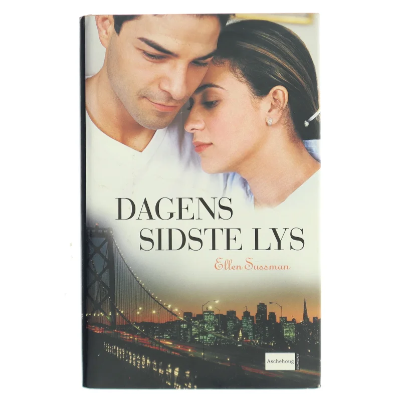 Dagens sidste lys af Ellen Sussman (Bog)