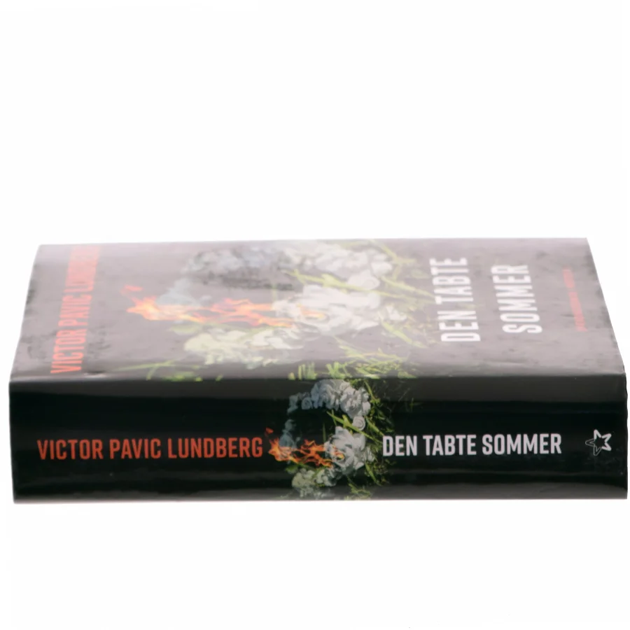 Den tabte sommer af Victor Pavic Lundberg (f. 1987) (Bog)