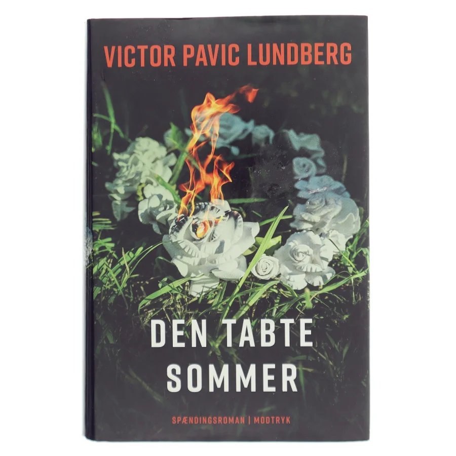 Den tabte sommer af Victor Pavic Lundberg (f. 1987) (Bog)