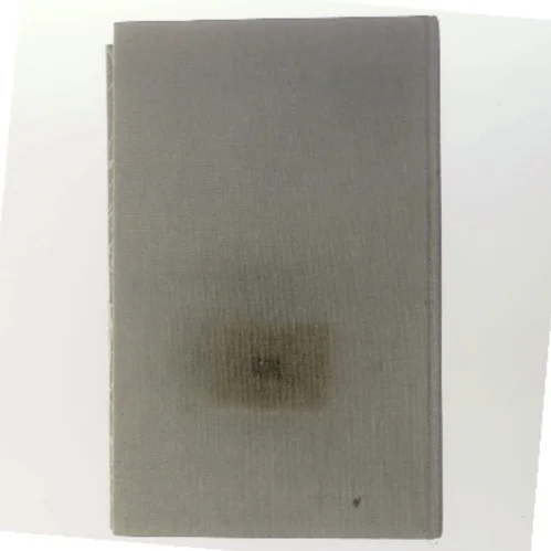 De sendte en dame af Lise Nørgaard (Bog)