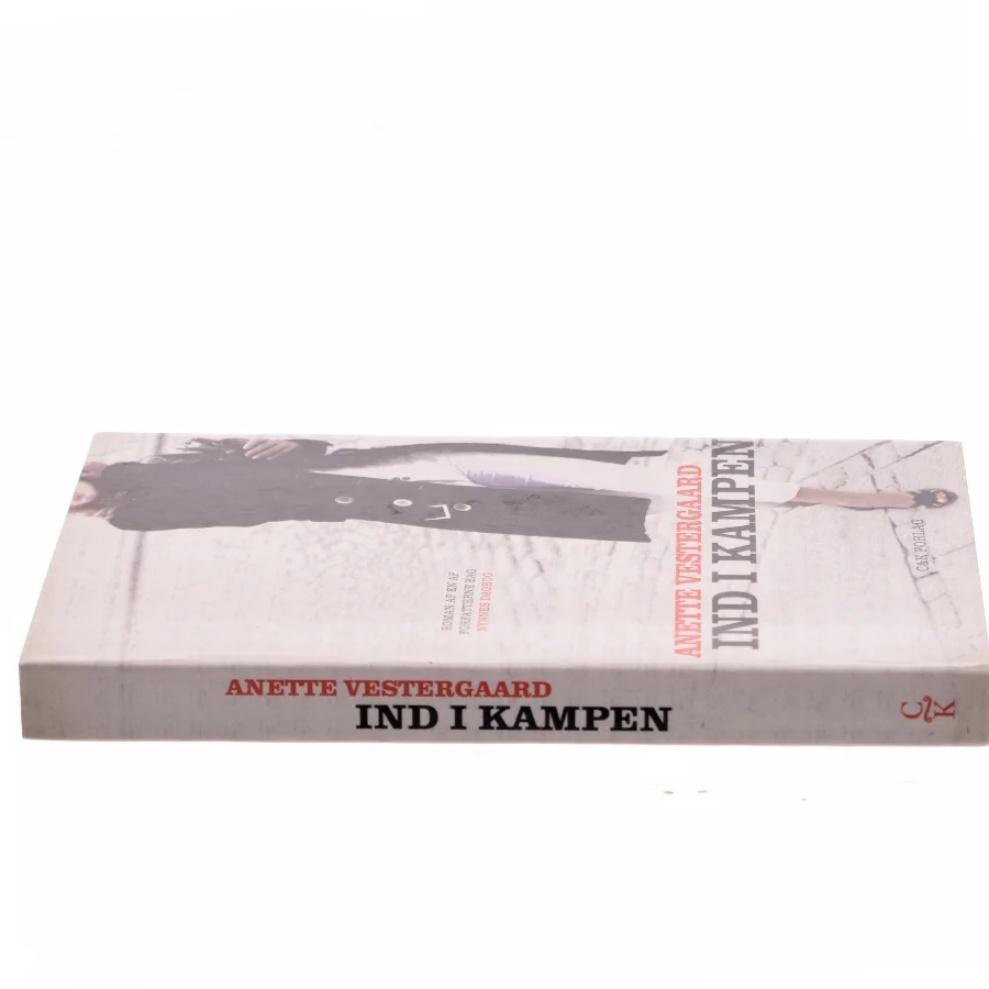 Ind i kampen : roman af Anette Vestergaard (Bog)