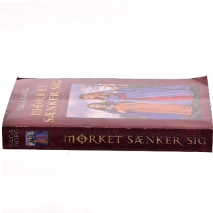 Mørket sænker sig af Saga Borg (Bog)