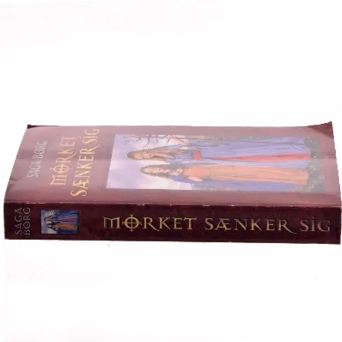 Mørket sænker sig af Saga Borg (Bog)